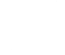 Next Level Digital Marketing Suite